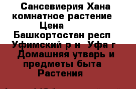 Сансевиерия Хана-комнатное растение › Цена ­ 250 - Башкортостан респ., Уфимский р-н, Уфа г. Домашняя утварь и предметы быта » Растения   